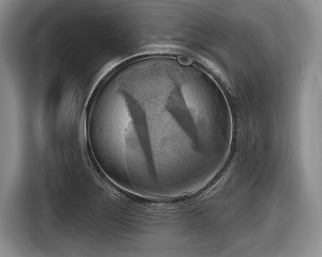 X0000116651275200912211440