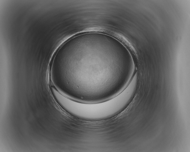 X0000116651276200912211440