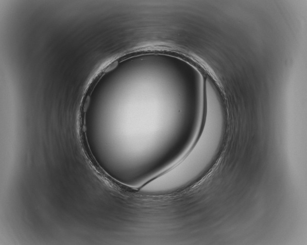 X0000116651277200912211440