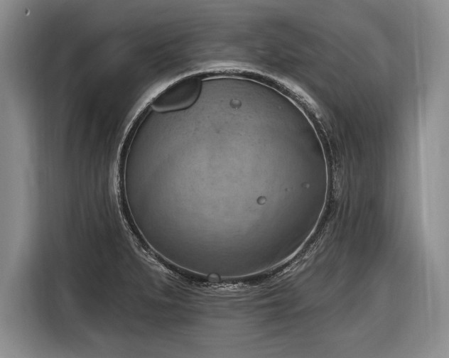 X0000116651279200912211440