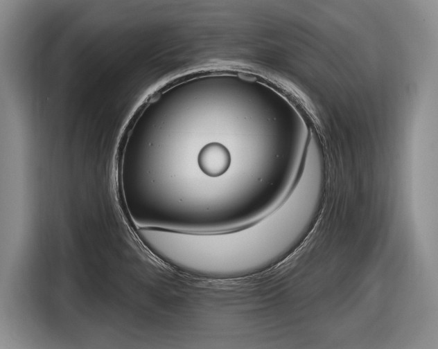 X0000116651280200912211440