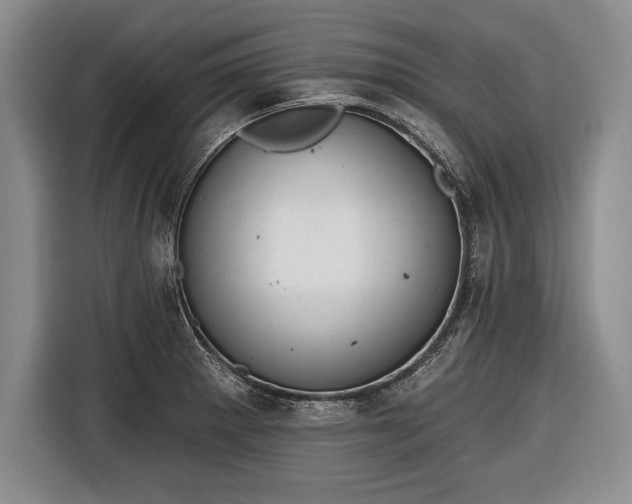 X0000116651281200912211440