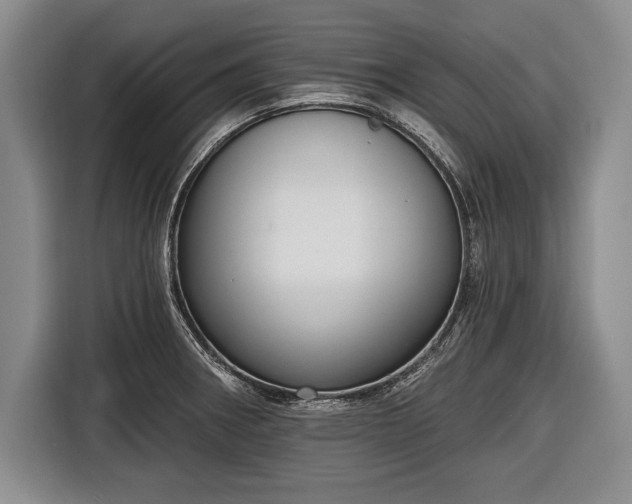 X0000116651282200912211440