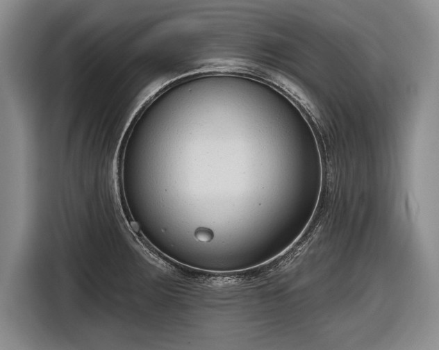 X0000116651283200912211440