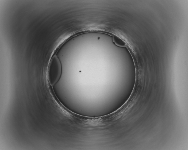 X0000116651285200912211440