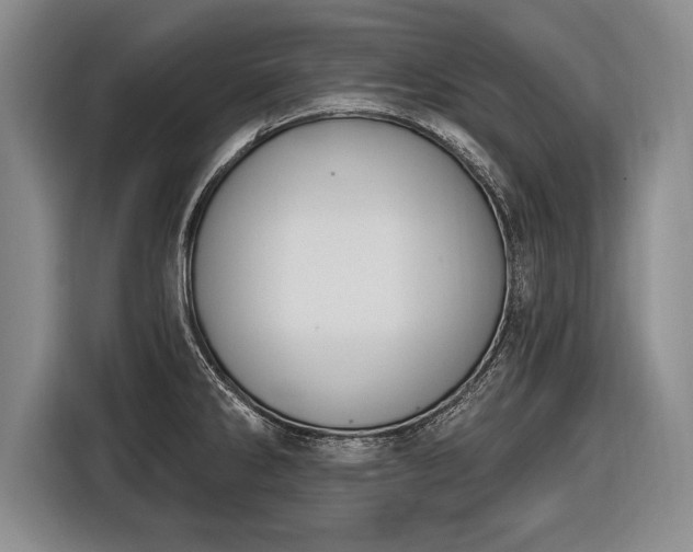 X0000116651286200912211440