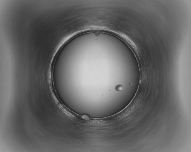 X0000116651287200912211440