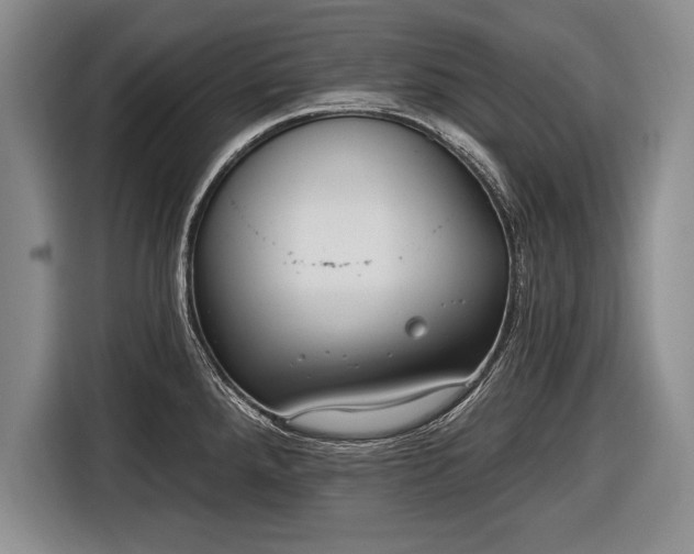 X0000116651288200912211440