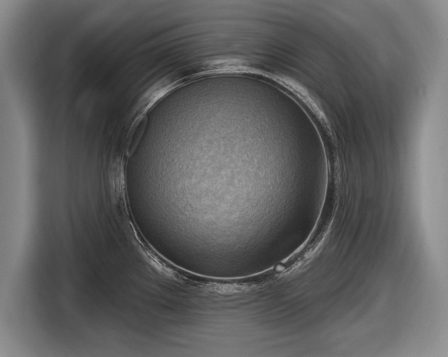 X0000116651289200912211440