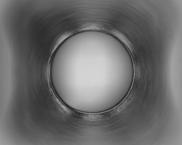 X0000116651290200912211440
