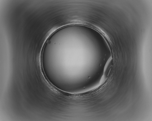 X0000116651291200912211440