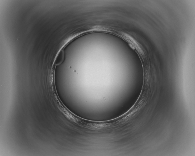 X0000116651292200912211440