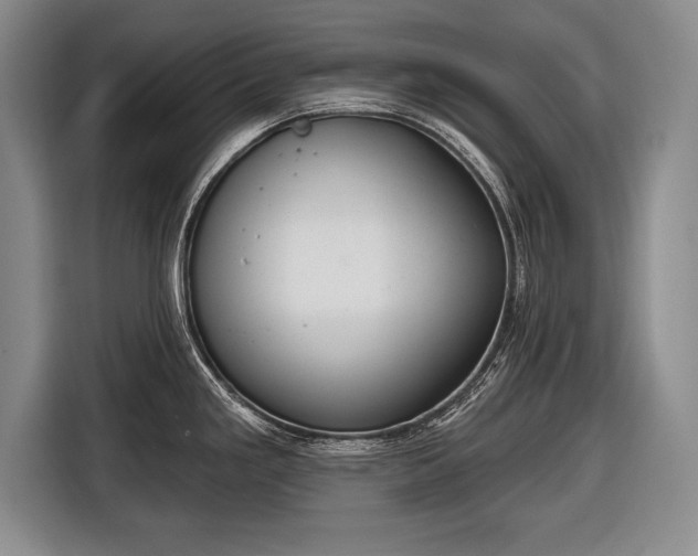 X0000116651293200912211440