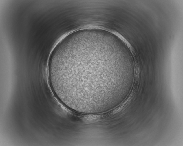 X0000116651294200912211440