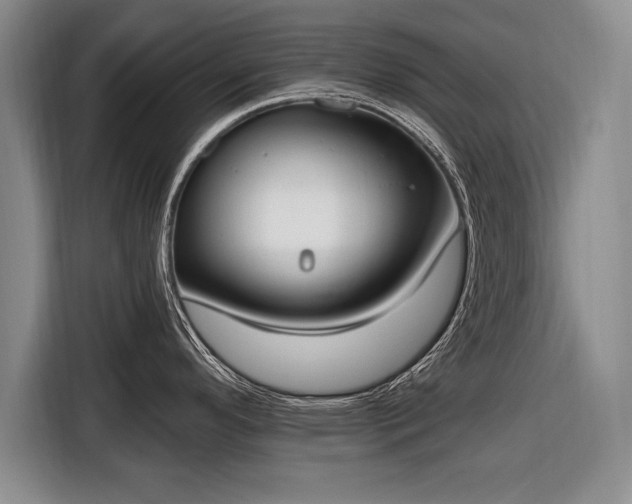 X0000116651296200912211440
