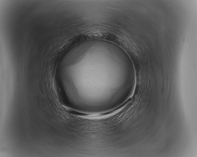 X0000116651297200912211439