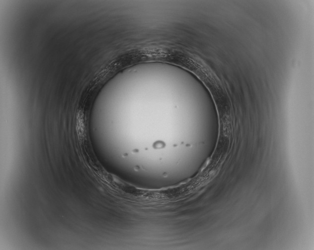 X0000116651298200912211439