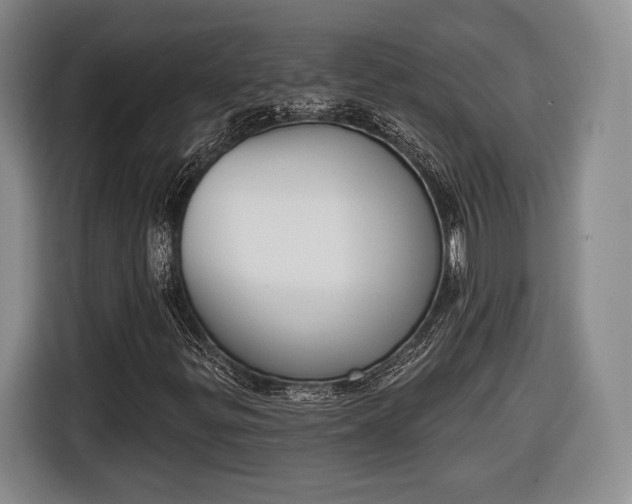 X0000116651299200912211439