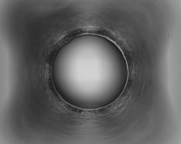 X0000116651301200912211439