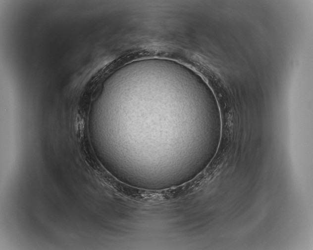 X0000116651302200912211439