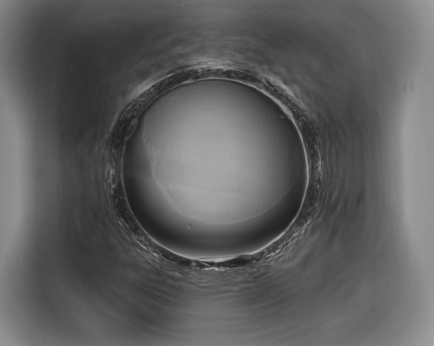 X0000116651303200912211439