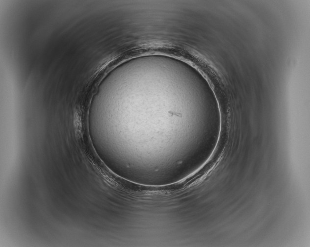 X0000116651305200912211439