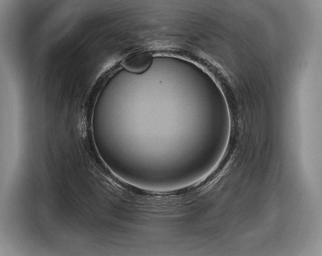 X0000116651306200912211439