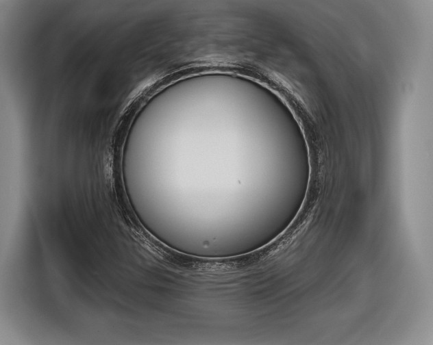 X0000116651307200912211439