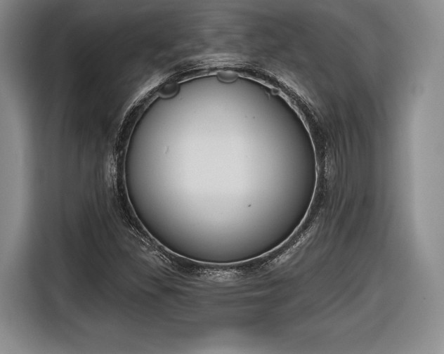 X0000116651309200912211439