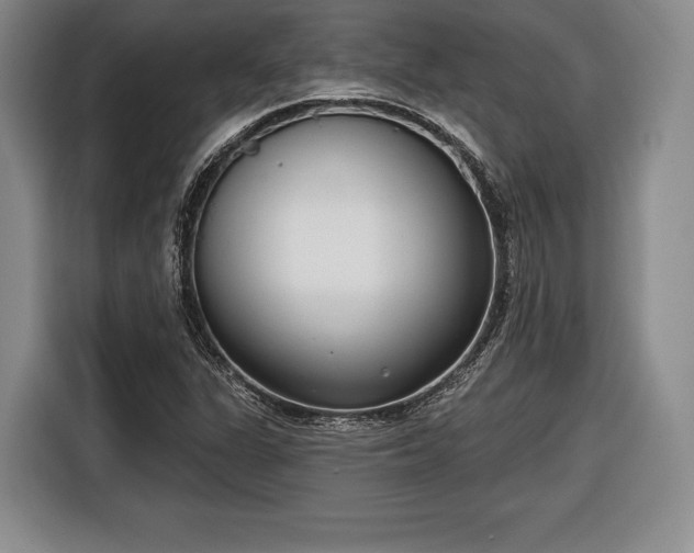X0000116651311200912211439