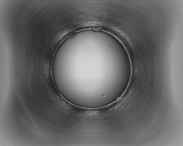 X0000116651313200912211439