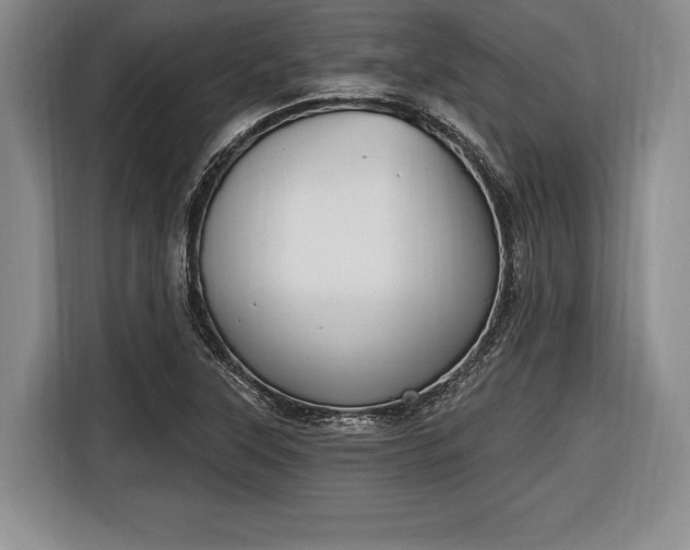X0000116651315200912211439