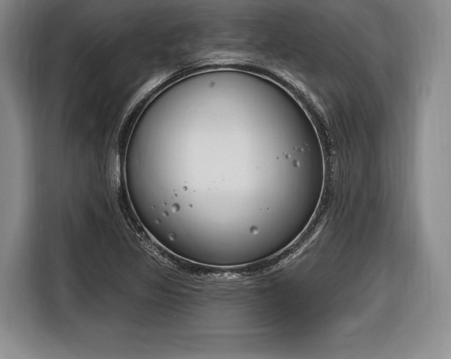 X0000116651317200912211439