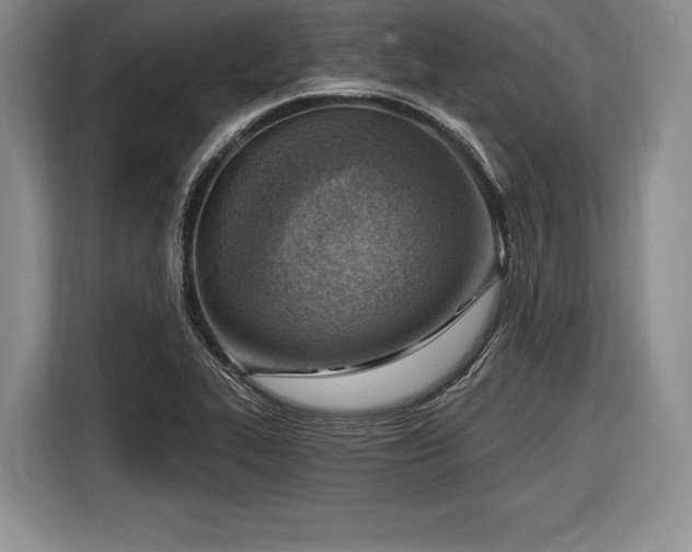 X0000116651319200912211439