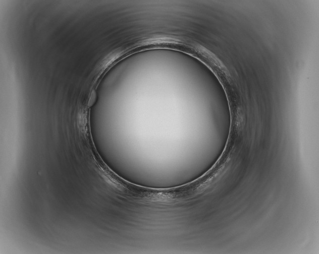X0000116651321200912211439