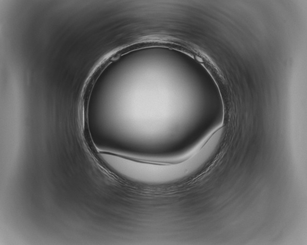 X0000116651323200912211439