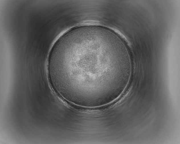 X0000116651325200912211439