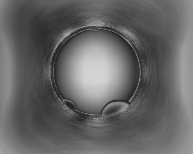 X0000116651326200912211439