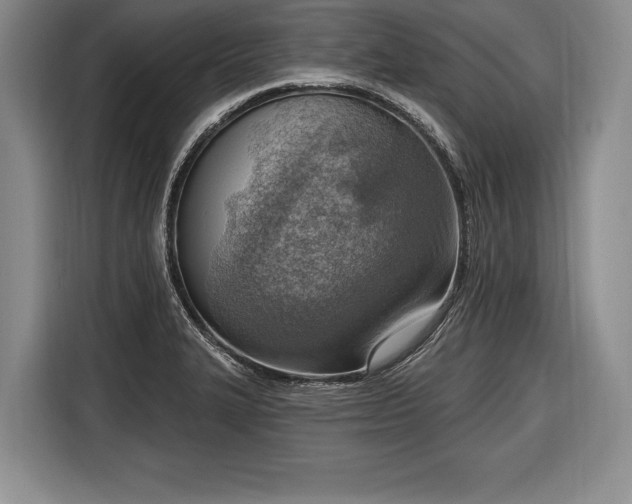 X0000116651327200912211439