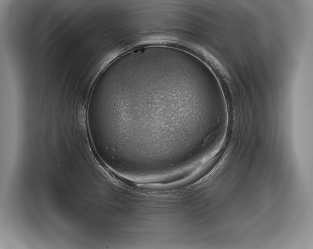 X0000116651329200912211439