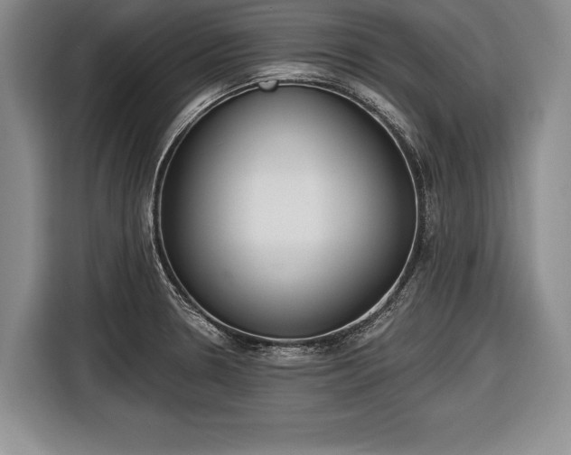 X0000116651330200912211439
