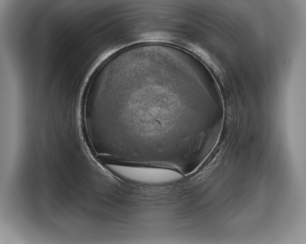 X0000116651331200912211439