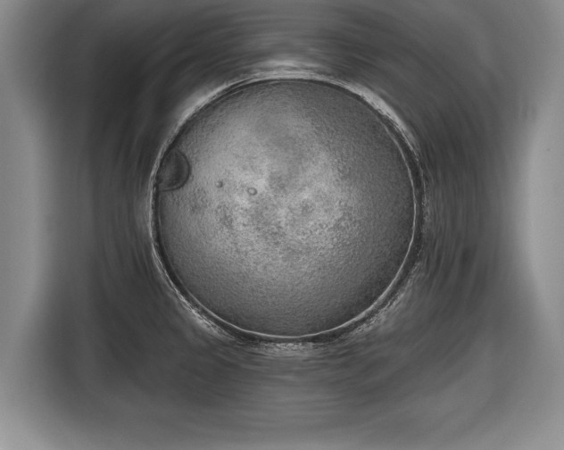 X0000116651333200912211439