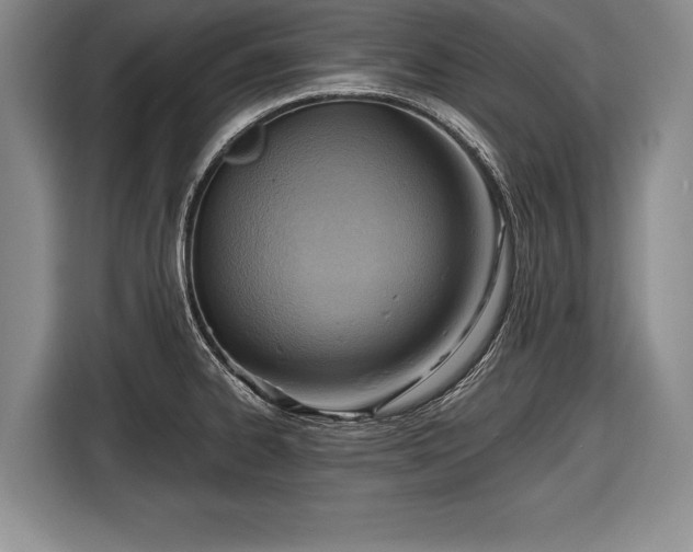X0000116651334200912211439