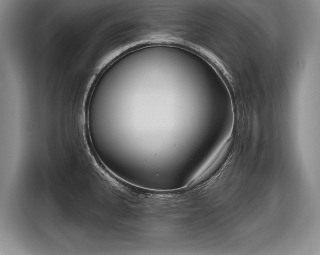 X0000116651335200912211439