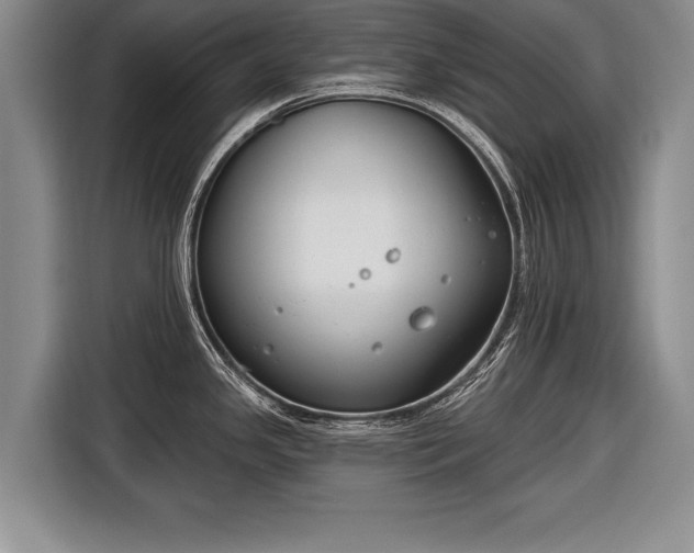 X0000116651341200912211440