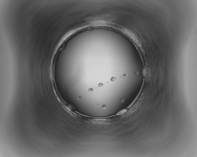 X0000116651342200912211440