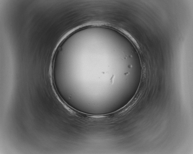X0000116651343200912211440