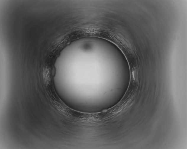 X0000116651347200912211439