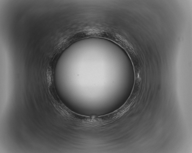 X0000116651348200912211439